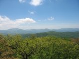 ../thumbnails/084-IMG_8878.JPG.small.jpeg