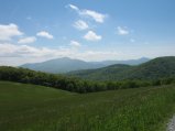 ../thumbnails/088-IMG_8879.JPG.small.jpeg