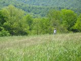 ../thumbnails/089-IMG_8880.JPG.small.jpeg