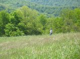 ../thumbnails/090-IMG_8881.JPG.small.jpeg
