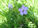 ../thumbnails/092-IMG_8883.JPG.small.jpeg
