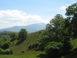 ../thumbnails/093-IMG_8884.JPG.small.jpeg