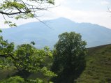 ../thumbnails/094-IMG_8885.JPG.small.jpeg