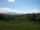 ../thumbnails/097-IMG_8888.JPG.small.jpeg