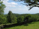 ../thumbnails/100-IMG_8891.JPG.small.jpeg