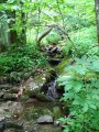 ../thumbnails/107-IMG_8896.JPG.small.jpeg
