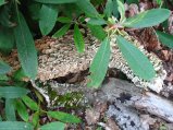 ../thumbnails/108-IMG_8897.JPG.small.jpeg