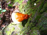 ../thumbnails/113-IMG_8905.JPG.small.jpeg