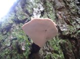 ../thumbnails/121-IMG_8916.JPG.small.jpeg