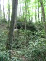 ../thumbnails/125-IMG_8920.JPG.small.jpeg