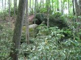 ../thumbnails/126-IMG_8921.JPG.small.jpeg