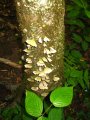 ../thumbnails/127-IMG_8922.JPG.small.jpeg