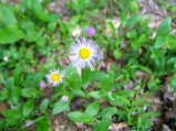 ../thumbnails/129-IMG_8924.JPG.small.jpeg