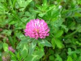 ../thumbnails/130-IMG_8926.JPG.small.jpeg