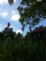 ../thumbnails/138-20150526_174146.jpg.small.jpeg