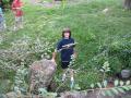 img100.jpeg.small.jpeg