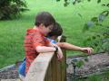 img101.jpeg.small.jpeg
