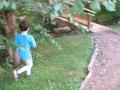img109.jpeg.small.jpeg