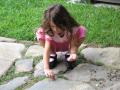 img110.jpeg.small.jpeg
