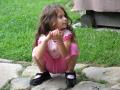 img113.jpeg.small.jpeg