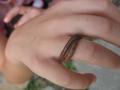 img117.jpeg.small.jpeg