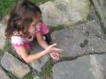 img118.jpeg.small.jpeg