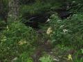 img130.jpeg.small.jpeg