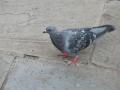 img144.jpeg.small.jpeg