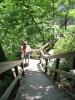 img066.jpeg.small.jpeg