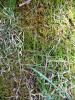 img122.jpeg.small.jpeg