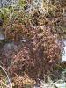 img123.jpeg.small.jpeg