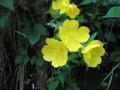 img127.jpeg.small.jpeg