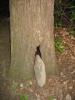 img192.jpeg.small.jpeg