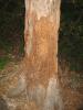 img193.jpeg.small.jpeg