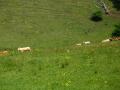 img109.jpeg.small.jpeg
