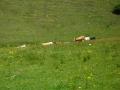 img110.jpeg.small.jpeg