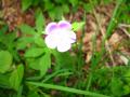 img129.jpeg.small.jpeg