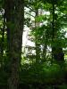 img133.jpeg.small.jpeg