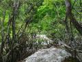 img150.jpeg.small.jpeg