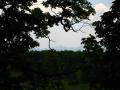 img153.jpeg.small.jpeg
