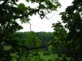 img154.jpeg.small.jpeg