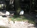 img127.jpeg.small.jpeg