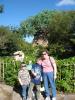 img134.jpeg.small.jpeg