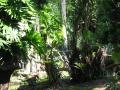 img142.jpeg.small.jpeg
