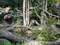 img143.jpeg.small.jpeg