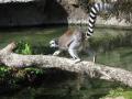 img147.jpeg.small.jpeg