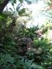 img149.jpeg.small.jpeg