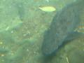 img164.jpeg.small.jpeg