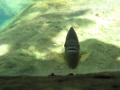img165.jpeg.small.jpeg
