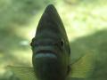 img166.jpeg.small.jpeg